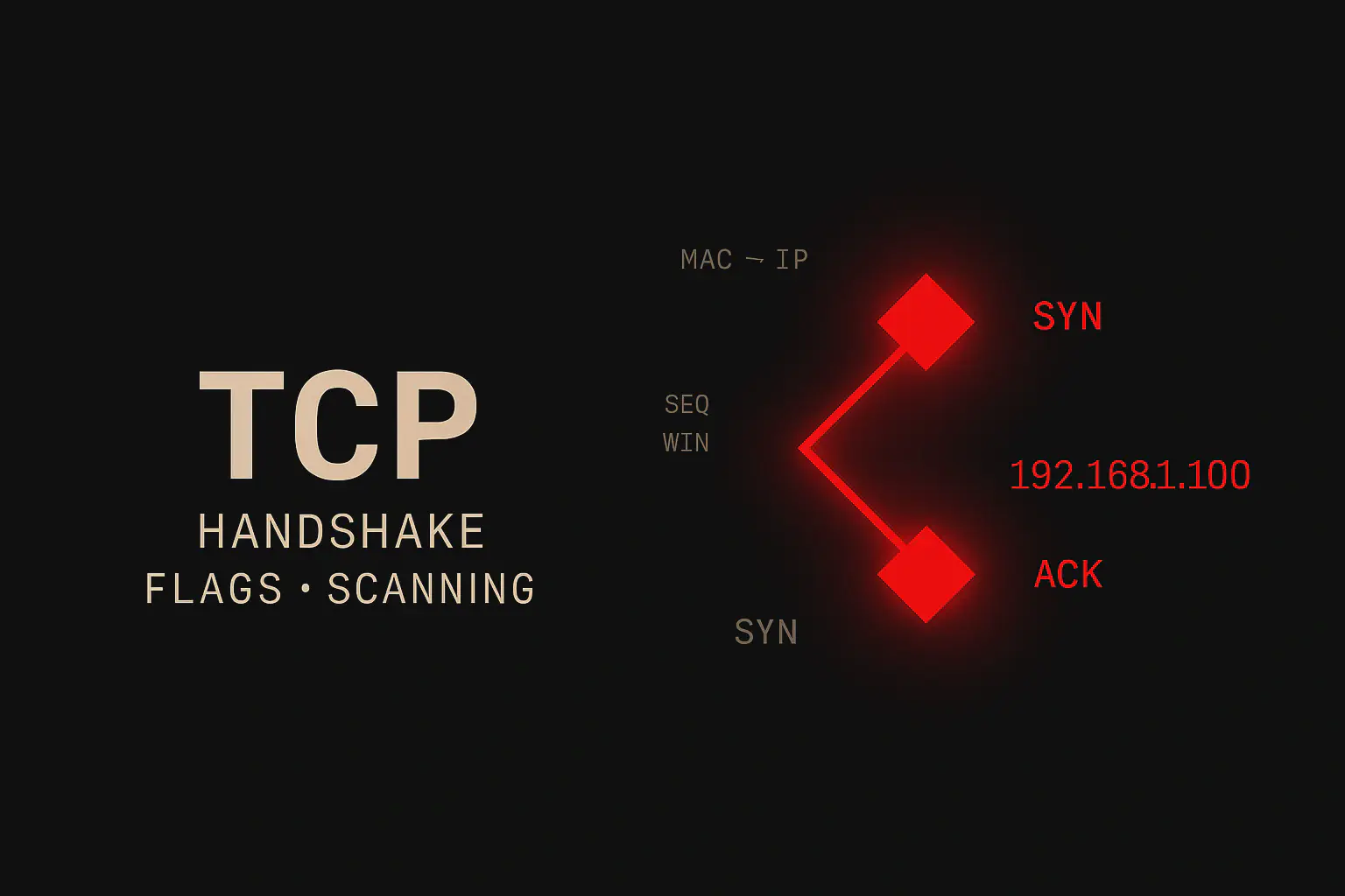 TCP (Transmission Control Protocol): cos'è, come funziona e come sfruttarlo in un pentest