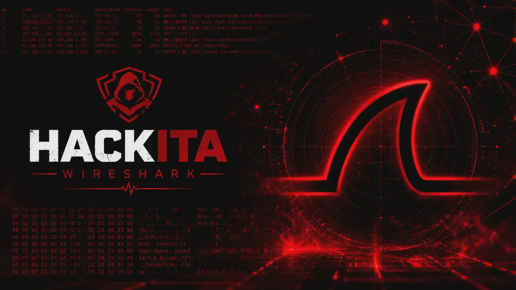Wireshark per Pentesting: Filtri, NTLM, DNS e TCP Stream